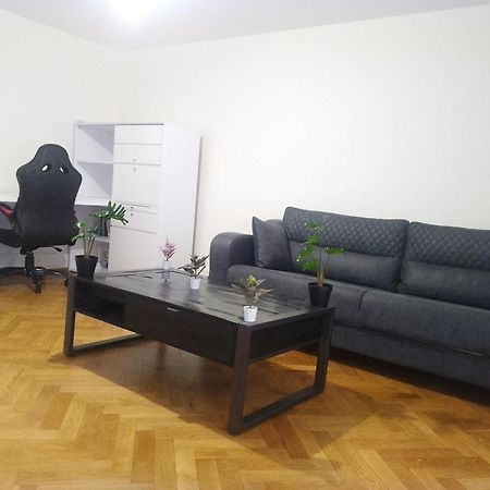 ז'נבה Charming Flat Center And Near The Lake מראה חיצוני תמונה