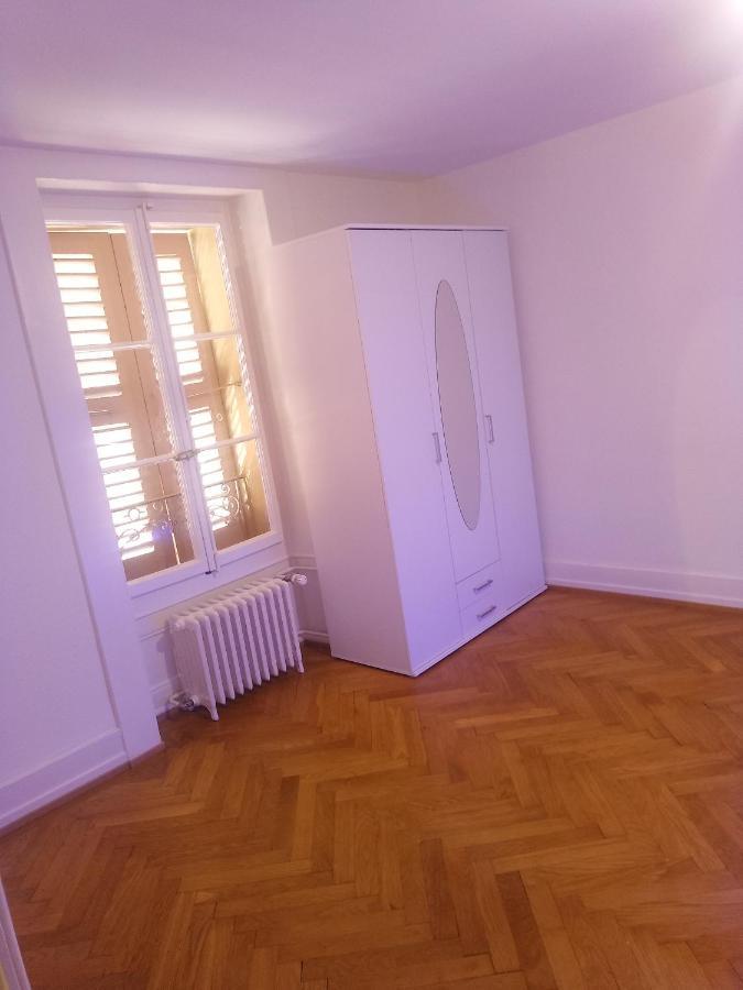 ז'נבה Charming Flat Center And Near The Lake מראה חיצוני תמונה