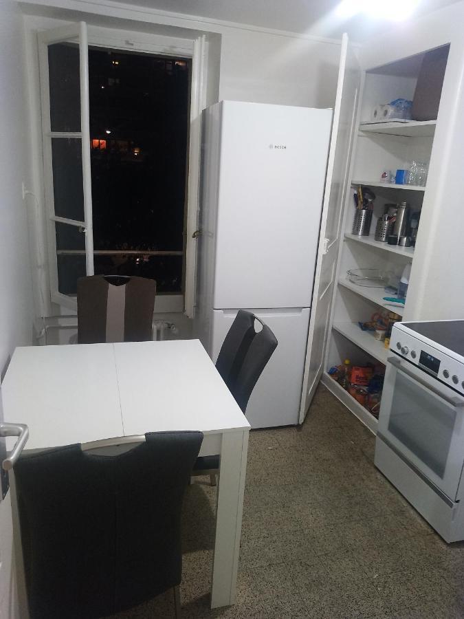 ז'נבה Charming Flat Center And Near The Lake מראה חיצוני תמונה