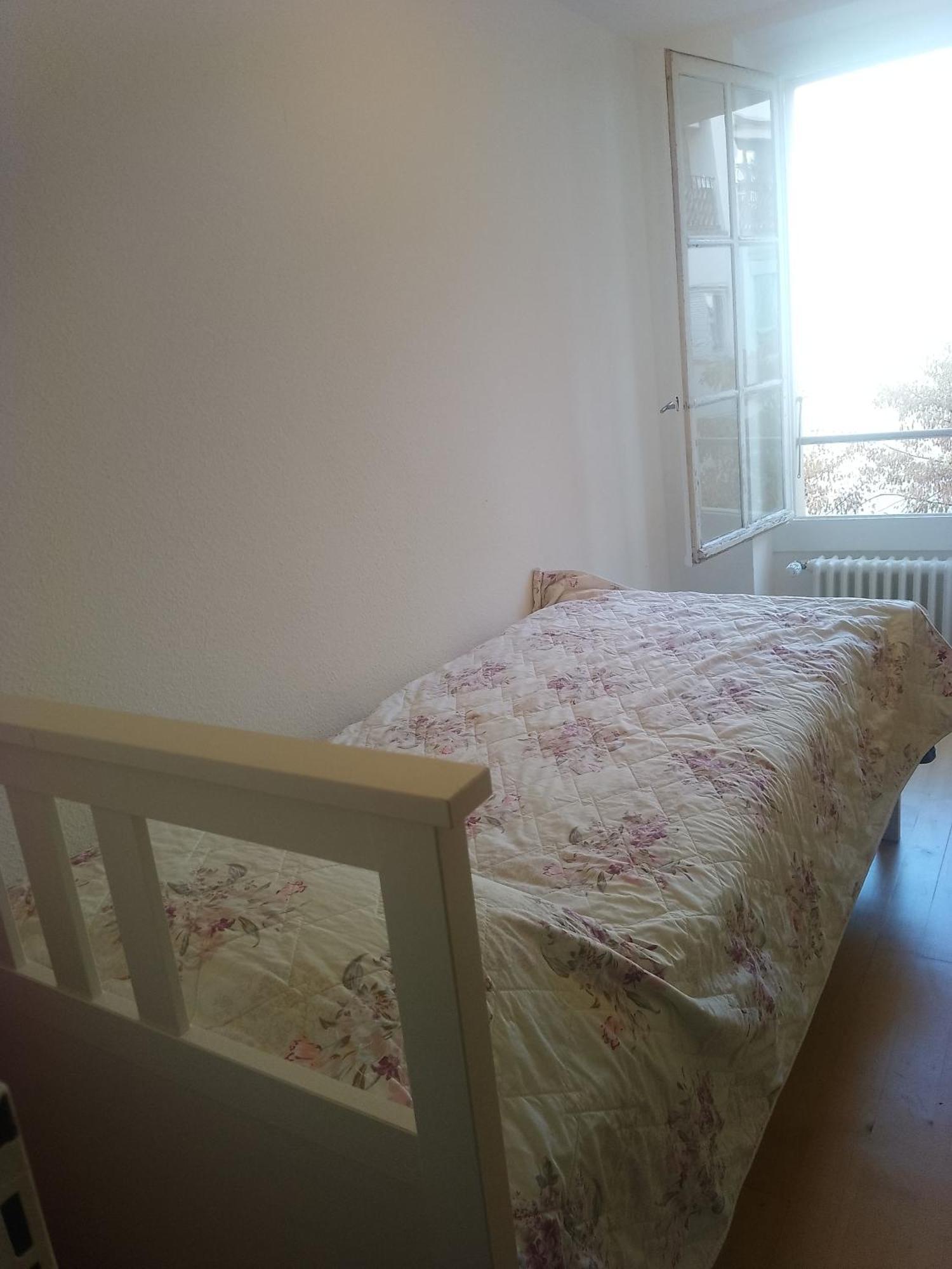 ז'נבה Charming Flat Center And Near The Lake מראה חיצוני תמונה