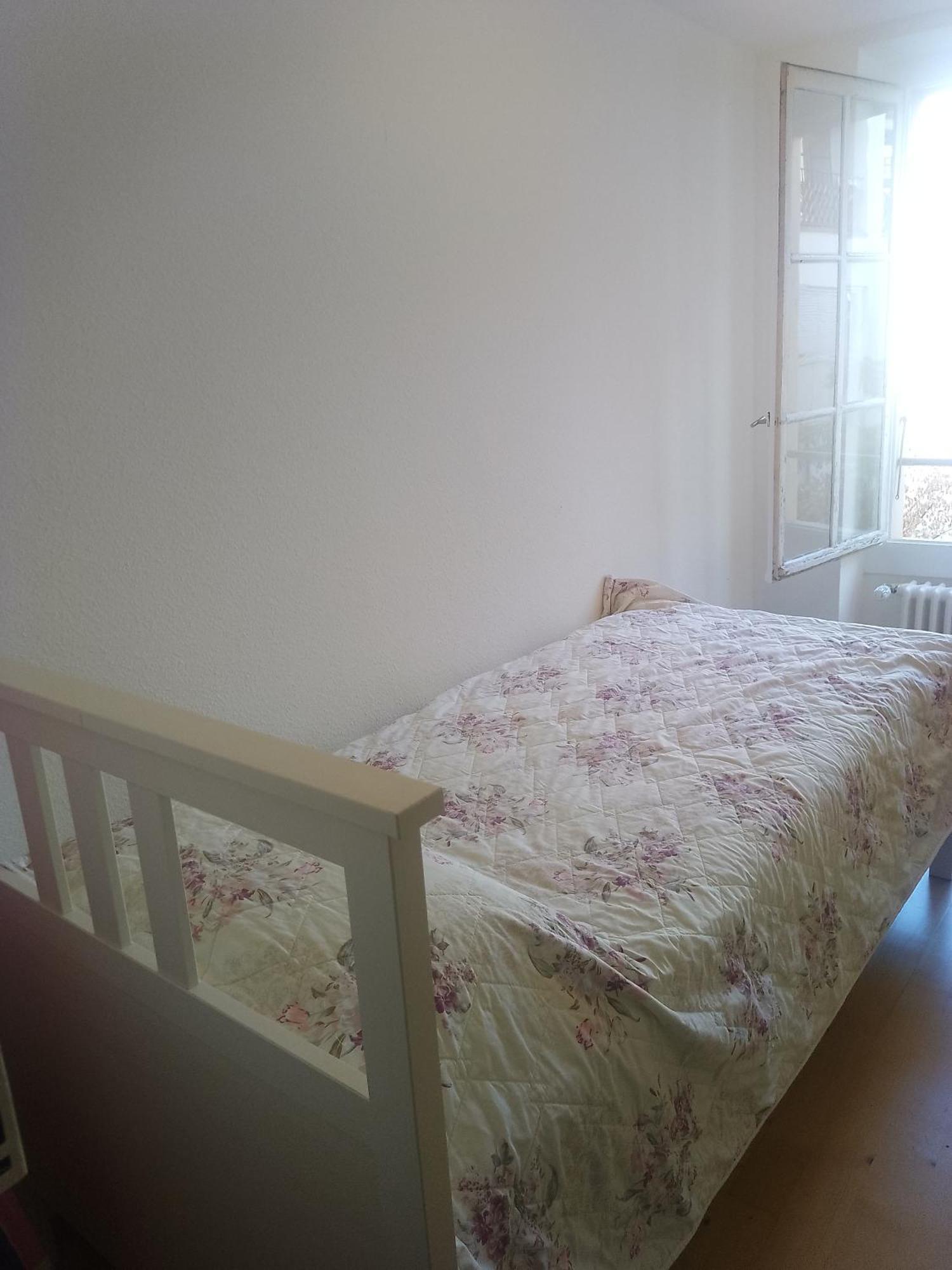 ז'נבה Charming Flat Center And Near The Lake מראה חיצוני תמונה