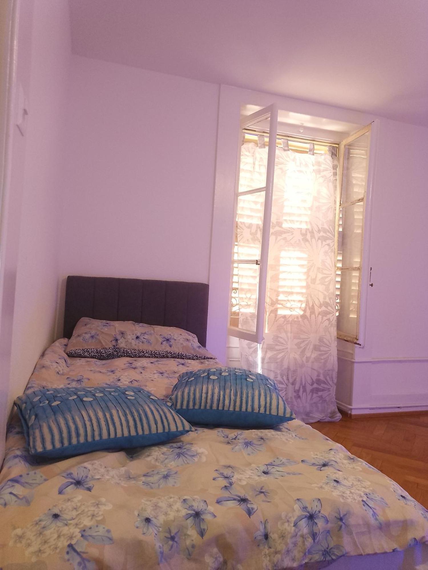 ז'נבה Charming Flat Center And Near The Lake מראה חיצוני תמונה
