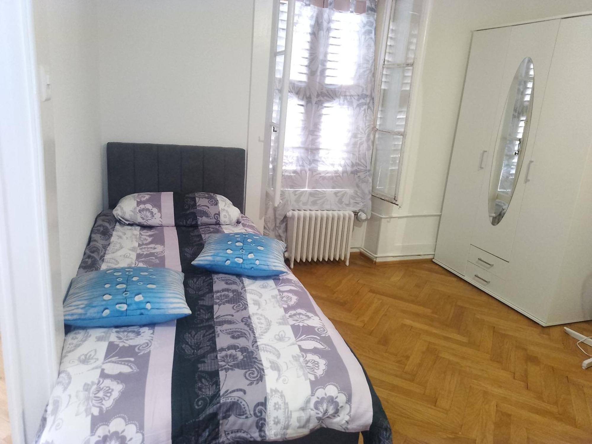 ז'נבה Charming Flat Center And Near The Lake מראה חיצוני תמונה