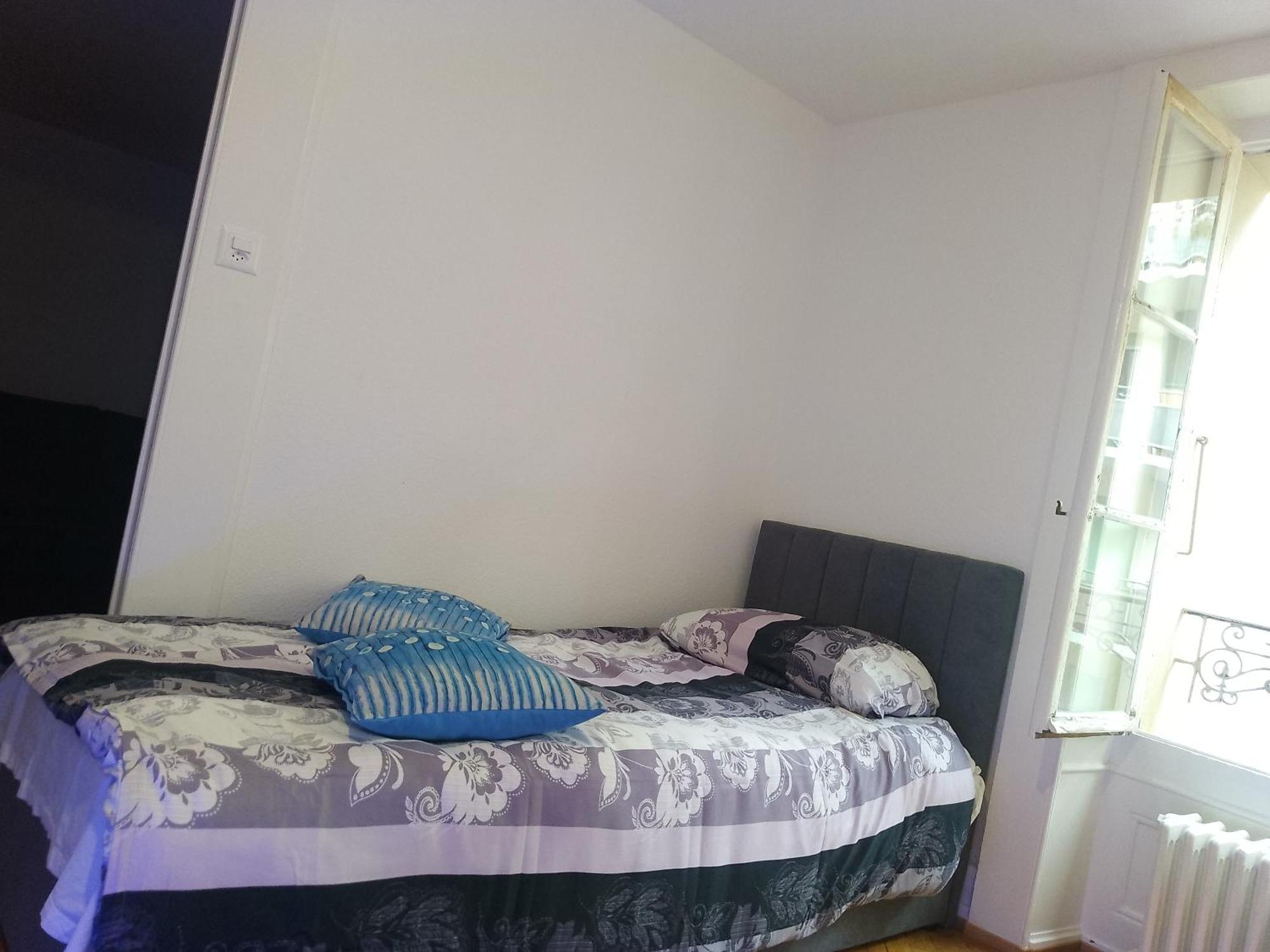 ז'נבה Charming Flat Center And Near The Lake מראה חיצוני תמונה