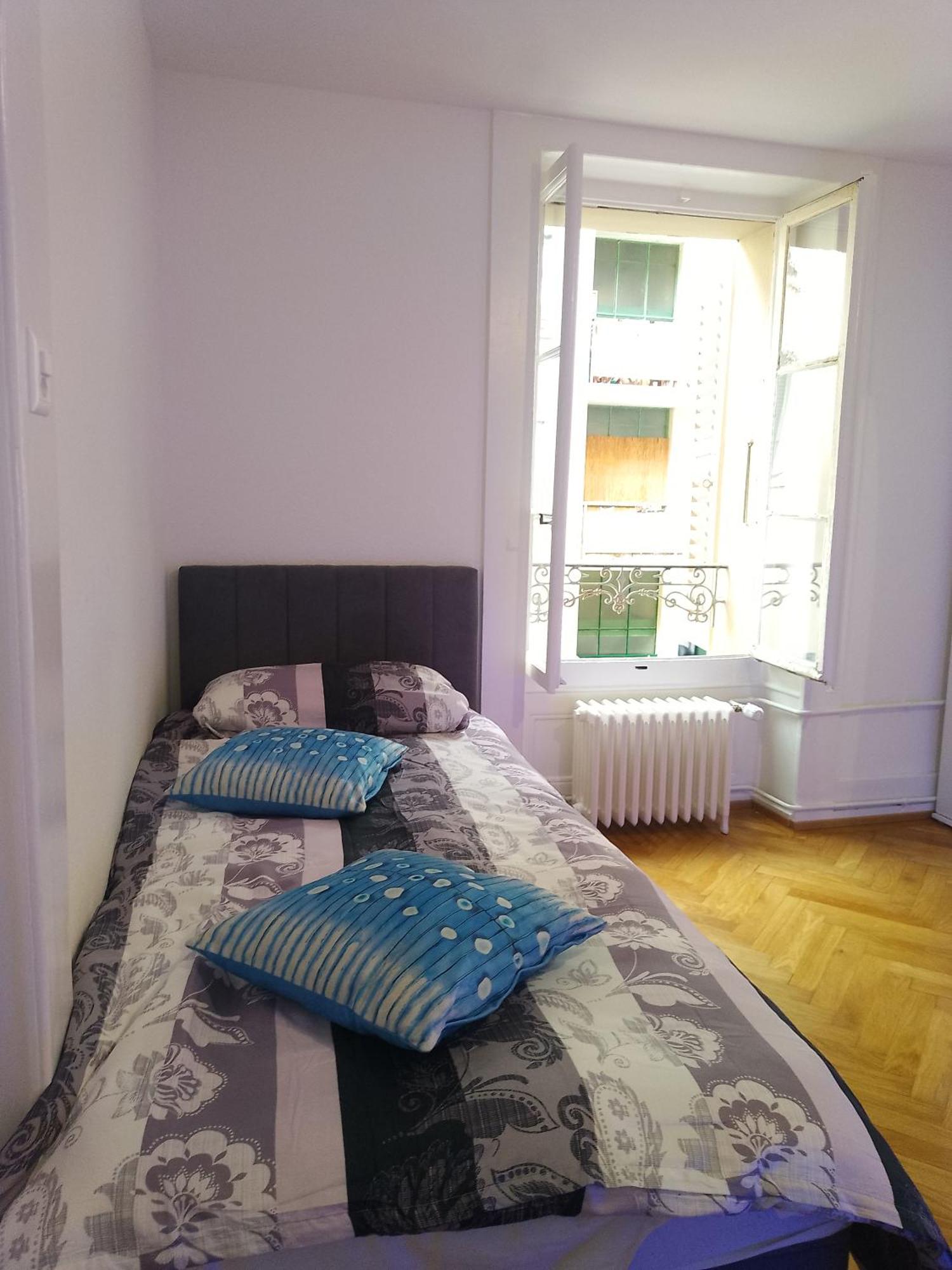 ז'נבה Charming Flat Center And Near The Lake מראה חיצוני תמונה