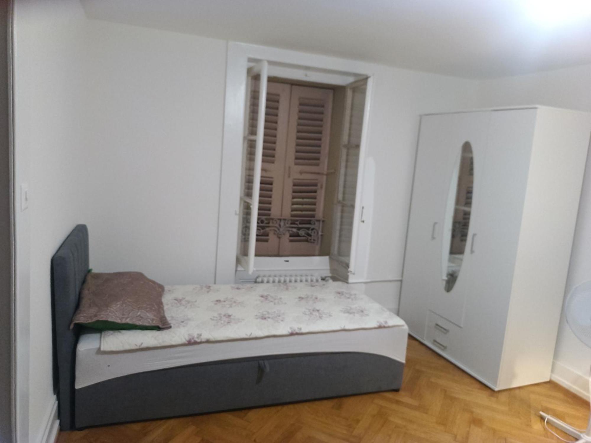 ז'נבה Charming Flat Center And Near The Lake חדר תמונה